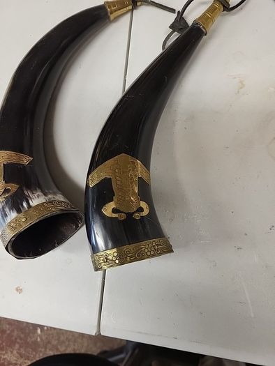 Buffalo horns