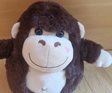Monkey NEW