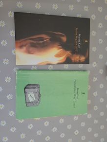 Pleaee see prices below per book -Leaving Cert Books - Orthello, Small things like this, Sive, Philadelphia Here I Come, By the Bog of Cats, revise wise - Biology, Business, History Revision, Home Economics revision, Construction Revision journal and Get