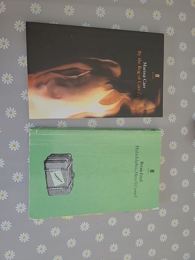 Pleaee see prices below per book -Leaving Cert Books - Orthello, Small things like this, Sive, Philadelphia Here I Come, By the Bog of Cats, revise wise - Biology, Business, History Revision, Home Economics revision, Construction Revision journal and Get