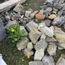 Stone Image 4