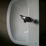 Grohe sink and Pedestal - NEW NEVER USED Image 4