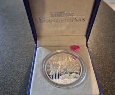 silver Coin