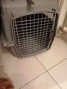 Kennel- very solid, long haul airline approved Petmate brand
