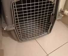 Kennel- very solid, long haul airline approved Petmate brand