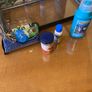 fish tank Image 4