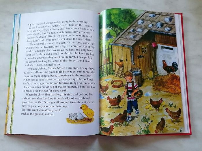 Children Book - Farmyard Stories