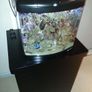 Boyu TL-450 Marine Nano Red Sea Max 130D Cabinet L/Rock Tank Aquarium Image 2