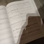 Steve Vai passion and warfare guitar tab book Image 9