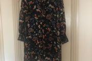 Zara Dress or top