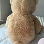 Giant Teddy brand new Image 2