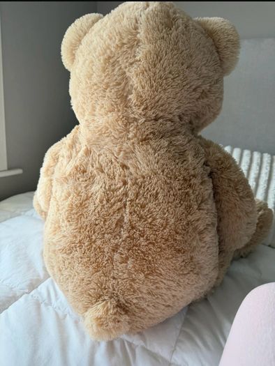 Giant Teddy brand new