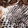 2 leopards print tops 18 Image 3