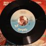 Stiff Little Fingers, SLF, Back to Front German  PS 7"  Punk Image 3