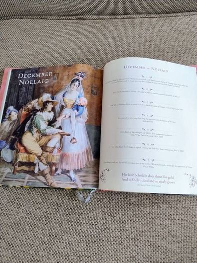 An Irish Woman's Book of Days 2012 hardback with dustcover in excellent condition 112 pages of Inspiration Verse and Celebration FREE STANDARD POSTAGE INCLUDED