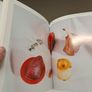 1st ed Not Just a Cookbook L Ecrivain Restaurant Dublin Image 7