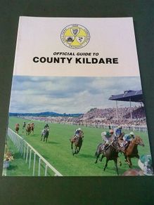 Official Guide to County Kildare Ireland Irish Old guide