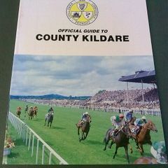 Official Guide to County Kildare Ireland Irish Old guide