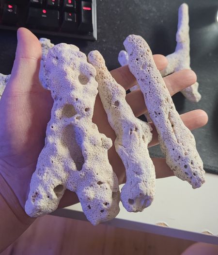 Dead Branching Natural Coral Rocks