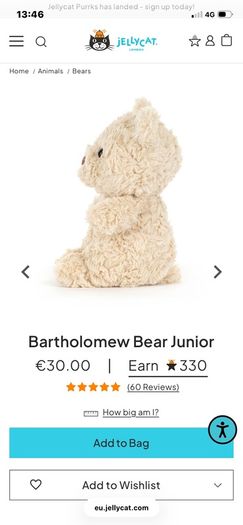 New JELLYCAT Bartholomew Bear Junior