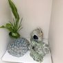 Fish Tank with cabinet - Complete Set with Extras Image 3