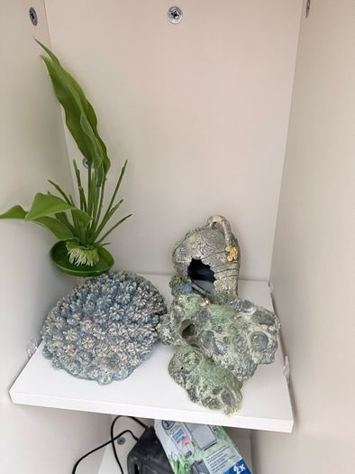 Fish Tank with cabinet - Complete Set with Extras