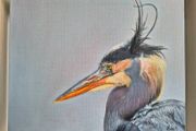 Great Blue Heron - oil painting - framed