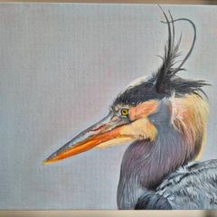 Great Blue Heron - oil painting - framed