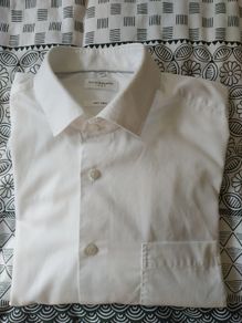 Shirt   XL