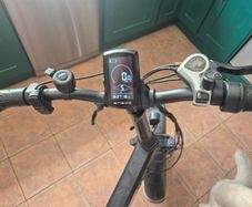 Ebike