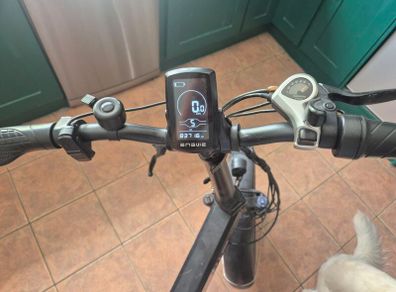 Ebike