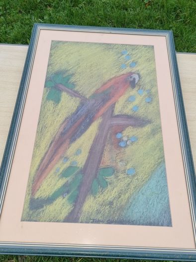 John Gallagher parrot pastel