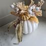 White Pumpkin Image 3