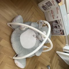 Little Discoveries Play Gym