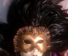 Vienna Mask