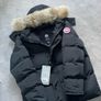 canada goose Image 3