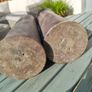 95mm two artillery shell case Image 3