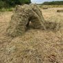 Hay Image 2