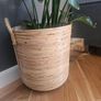 plants Image 3