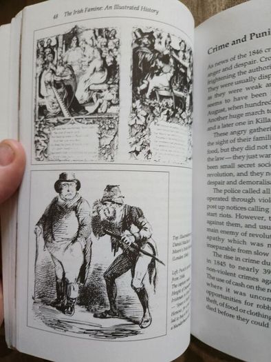 The Irish Famine. An Illustrated History By Helen Litton. First Edition Paperback In Good Condition.