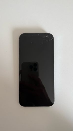 iPhone IPhone 13 Pro Max