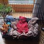 Dog crate/ puppy crate Image 3