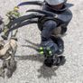halo McFarlane lot Image 8