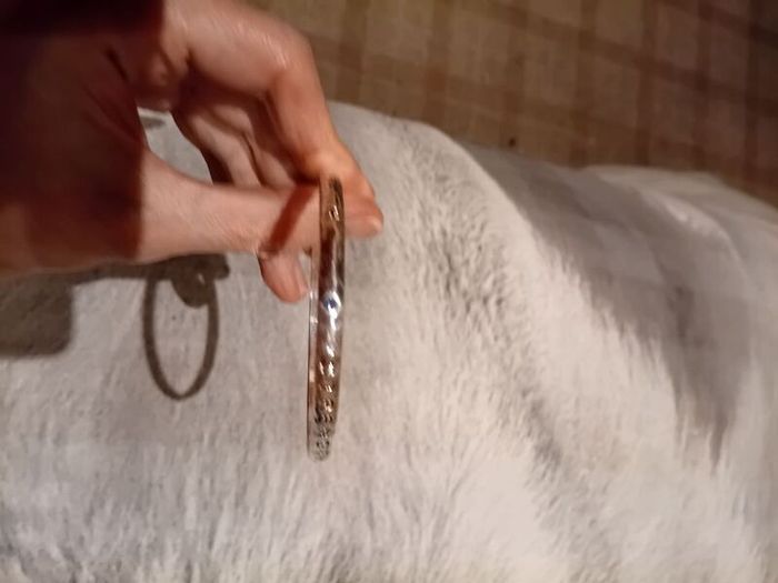Silver tone bracelet with blue stones and words on it
