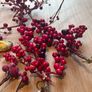 Vintage Christmas Decoration Bundle Image 5