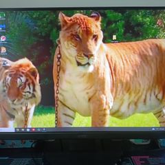 Pc monitor