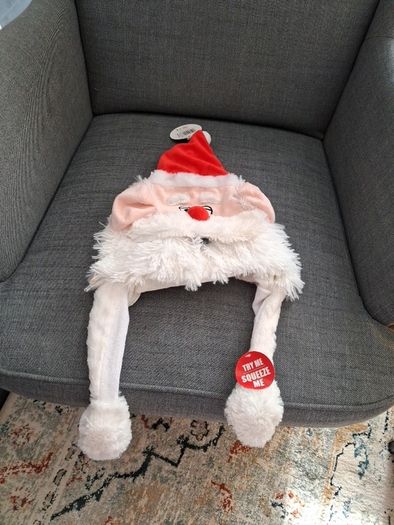 Christmas novelty santa hat.
