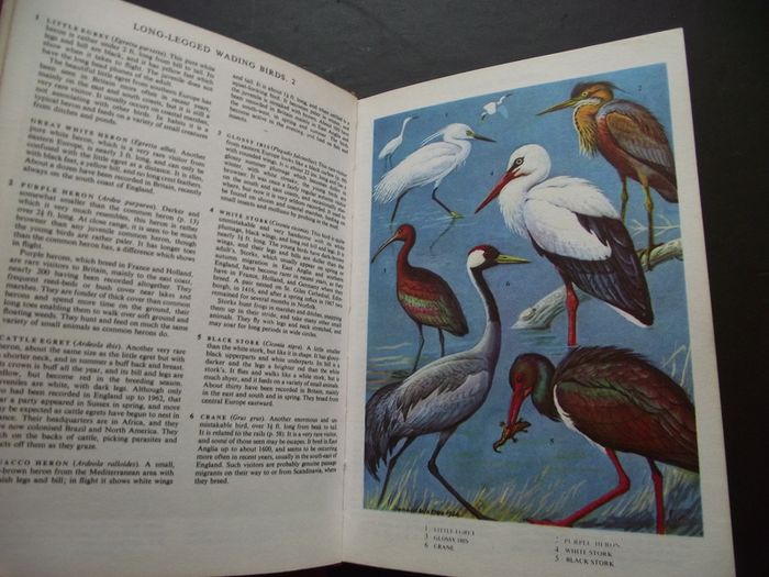 1972 "The Oxford Book of Birds"