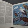 1972 "The Oxford Book of Birds" Image 2