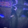 Random Flow Generator UP-Grade KIT (RedSea Reefer) Image 3